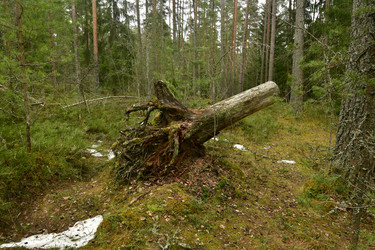 Similar image 21808443