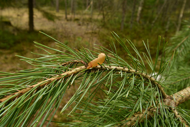 Similar image 21808444