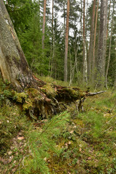 Similar image 21808445