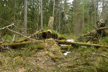 Similar image 21808446