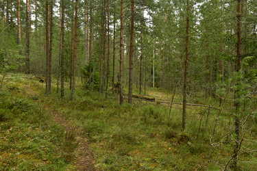 Similar image 21808447