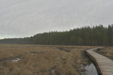 Similar image 21808448