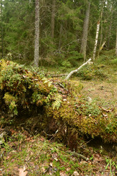 Similar image 21808449