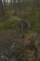 Similar image 21808464