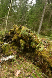 Similar image 21808465