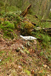 Similar image 21808466