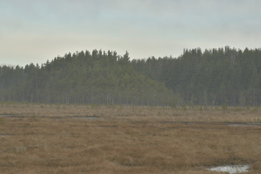 Similar image 21808467