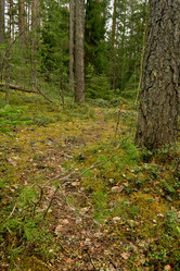 Similar image 21808468