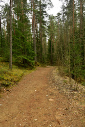 Similar image 21808469