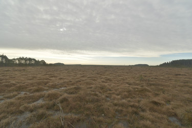 Similar image 21808216