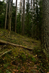 Similar image 21808217