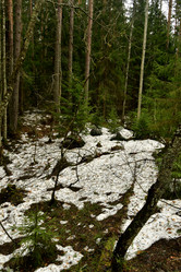 Similar image 21808218