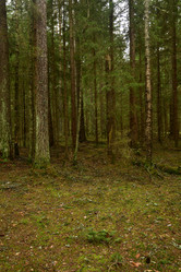 Similar image 21808220