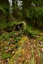 Similar image 21808221