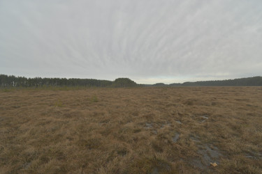 Similar image 21808222