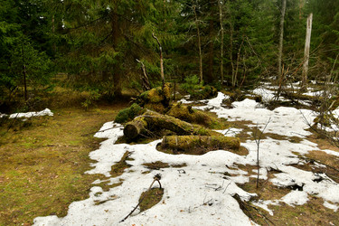 Similar image 21808223