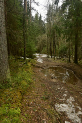 Similar image 21808224