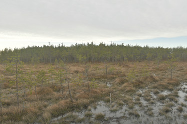 Similar image 21808225