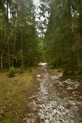 Similar image 21808226