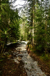 Similar image 21808227