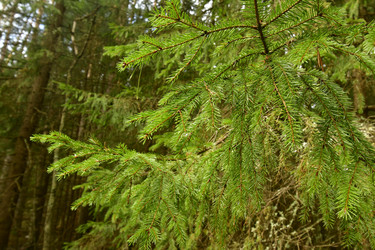 Similar image 21808228