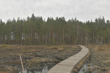 Similar image 21808229