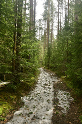 Similar image 21808230