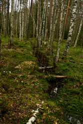 Similar image 21808231