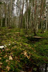 Similar image 21808233