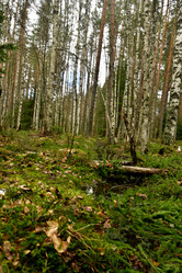 Similar image 21808236