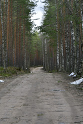 Similar image 21808238