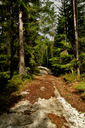 Similar image 21808239