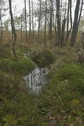 Similar image 21808240