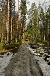 Similar image 21808241