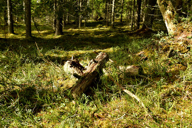 Similar image 21808242