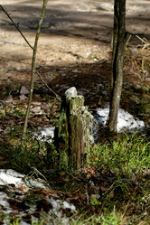 Similar image 21808244