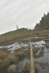 Similar image 21808246