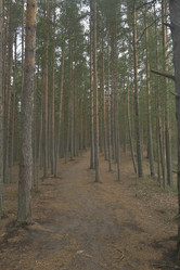 Similar image 21808248