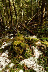 Similar image 21808249