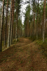 Similar image 21808250