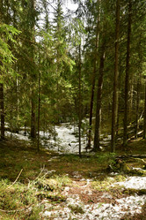 Similar image 21808267