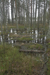 Similar image 21808268