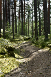 Similar image 21808269