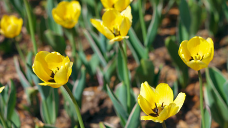 Similar image 21808624