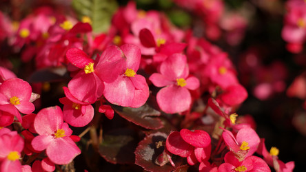 Similar image 21808625