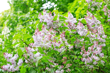 Similar image 21808629