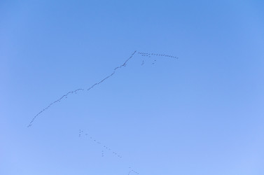 Similar image 21808633