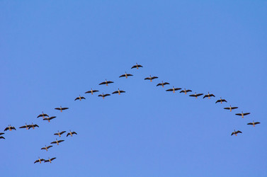 Similar image 21808635