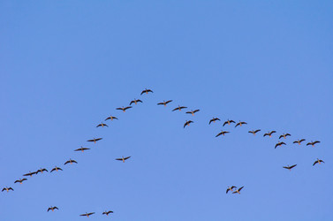 Similar image 21808636