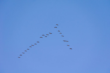 Similar image 21808639